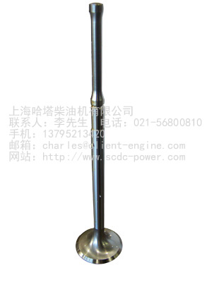 MTU SPARE PARTS-53010534416|Exhaust Valve